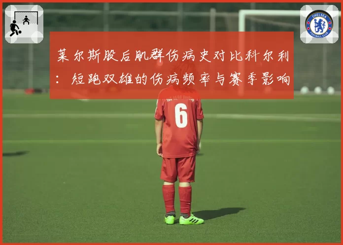 莱尔斯股后肌群伤病史对比科尔利：短跑双雄的伤病频率与赛季影响分析